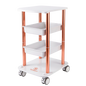 Trolley SKM II